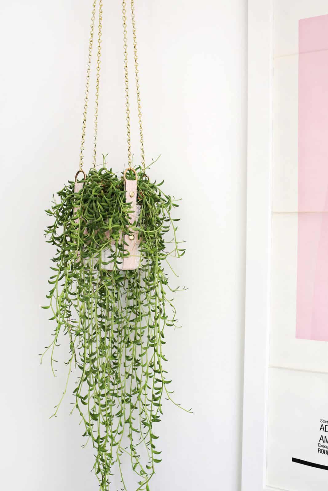 Hanging Leather Strap Planter