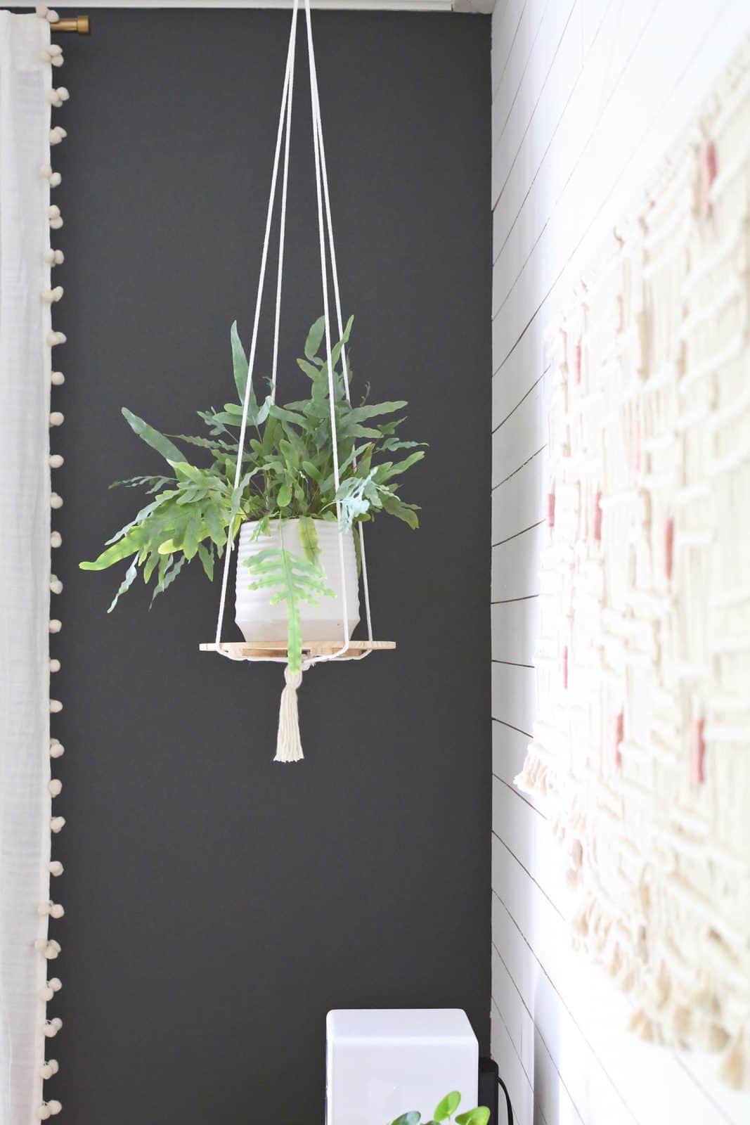 Hanging Plant Shelf DIY