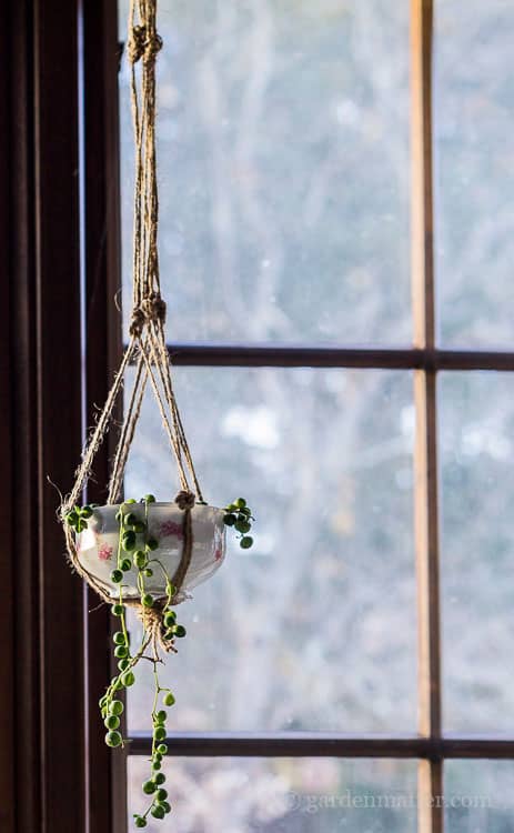 Hanging Teacup Planter Upcycle with China & Pearls