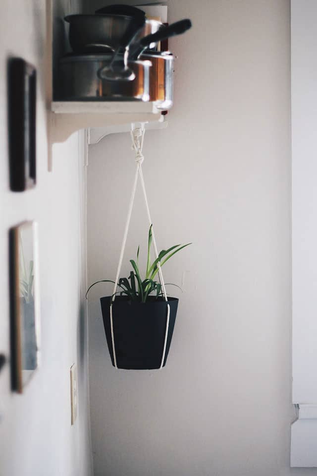 DIY Hanging Planter