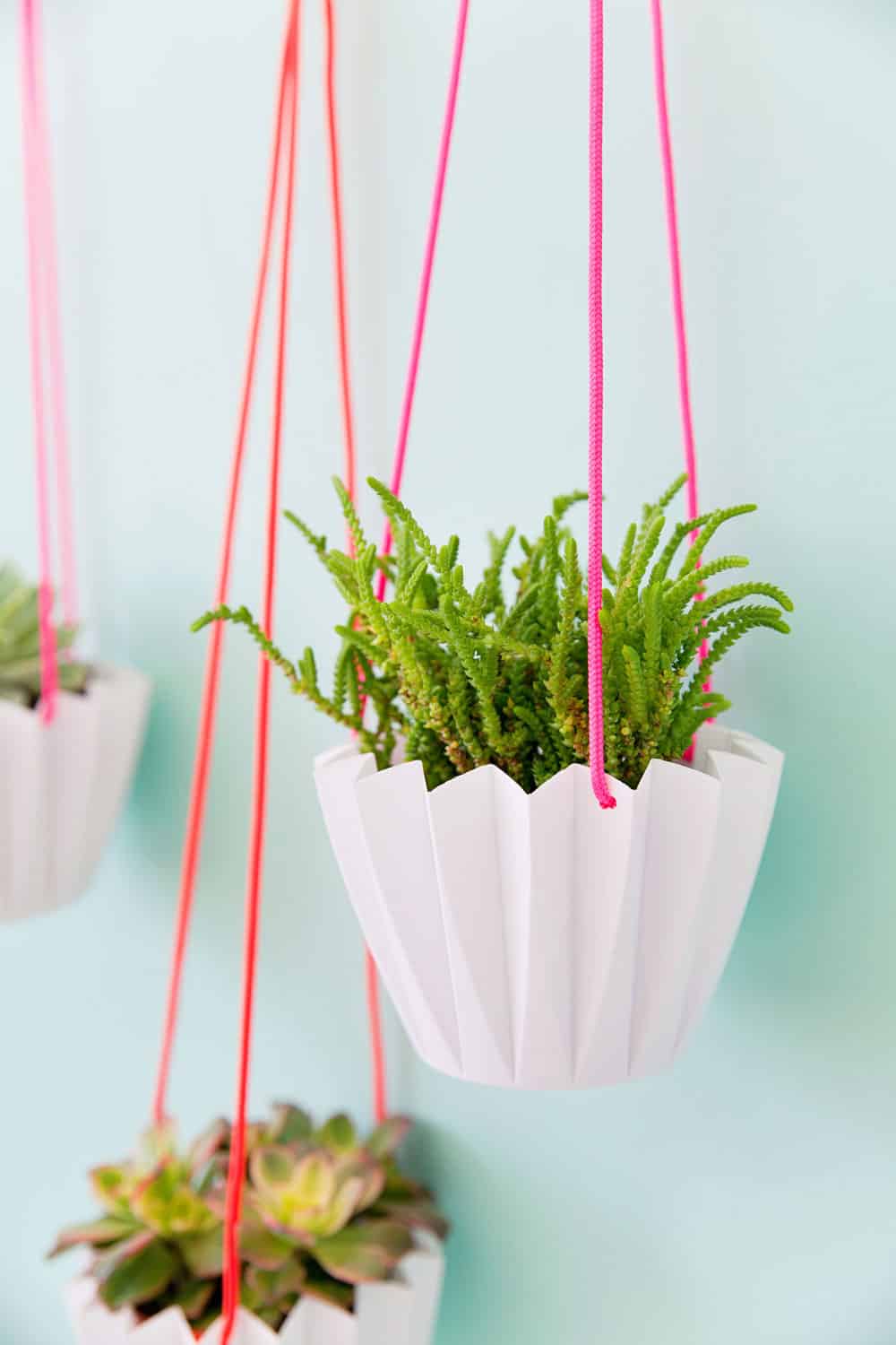 5 Minute DIY Hanging Planters