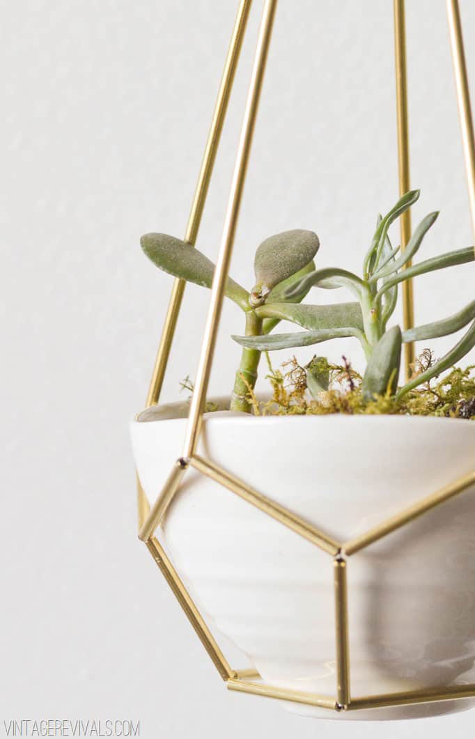 DIY Leather and Brass Teardrop Hanging Planter