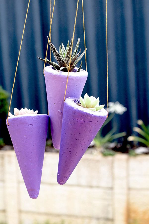 Styrofoam Cone Succulent Planters