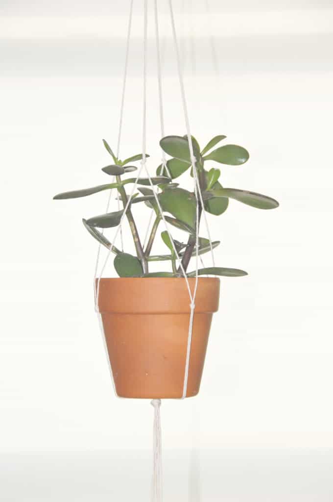 DIY Hanging Plant Holder