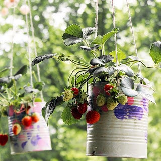DIY Strawberry Planter