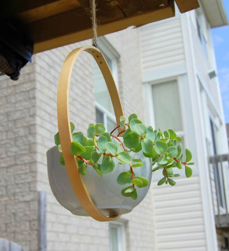 Embroidery Hoop Hanging Planter