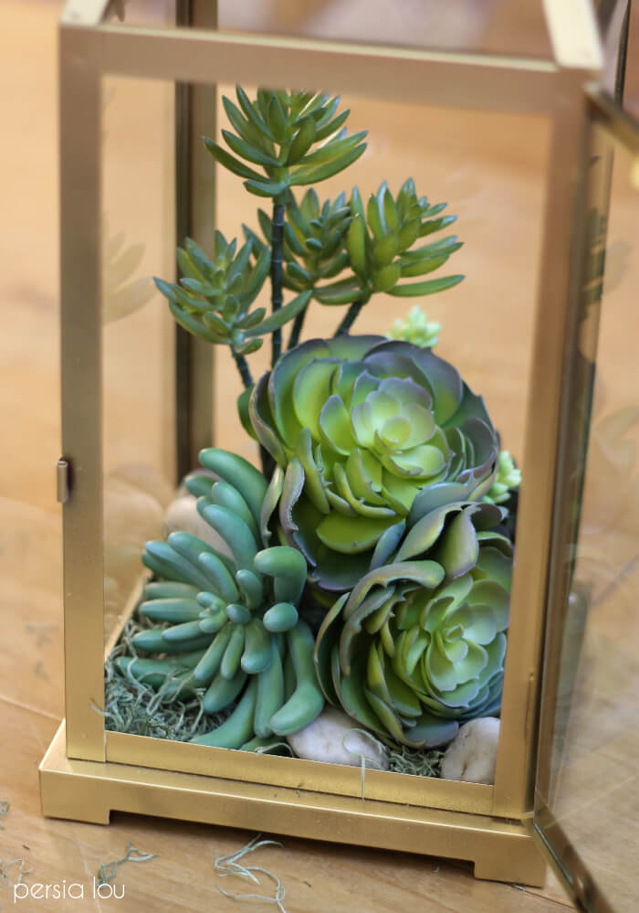 Unique Terrarium Ideas | Succulents | DIY | Glass Planters | Unique Wedding Favors