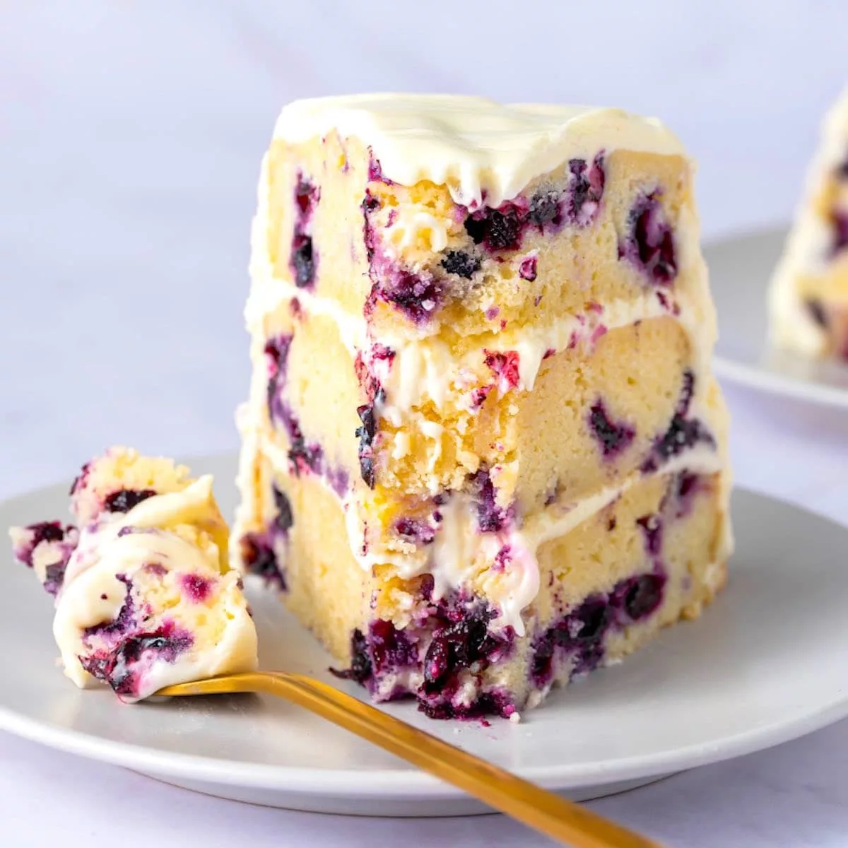 This foolproof lemon blueberry cake features a moist and fluffy cake bursting with tangy lemon and juicy blueberries throughout. No eggs, milk, or butter is needed.