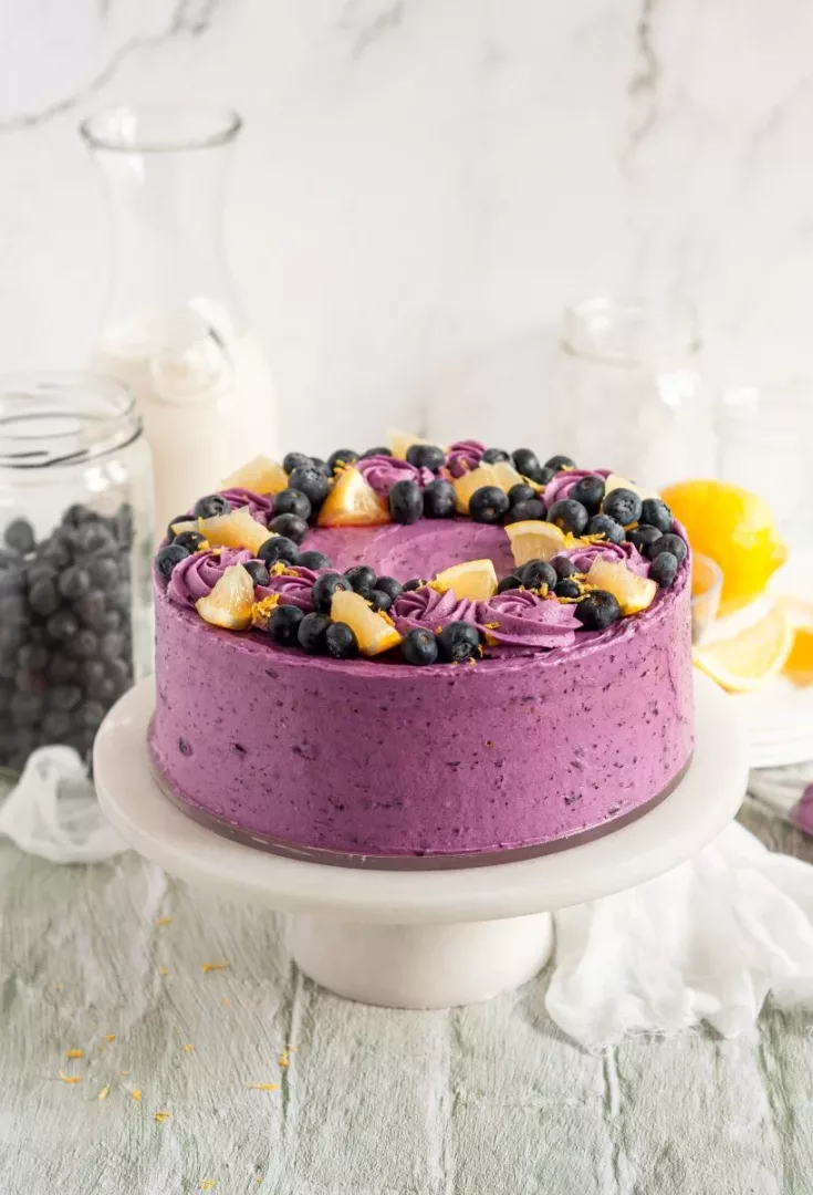 It is simply not spring until you’ve baked a lemon blueberry layer cake. And this gluten-free and dairy-free lemon blueberry layer cake with whipped blueberry cream cheese frosting was spring scrumptiousness in every single bite. Grab those blueberries and sprint to the kitchen.