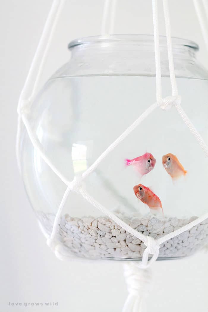 Macrame hanging Fish Bowl