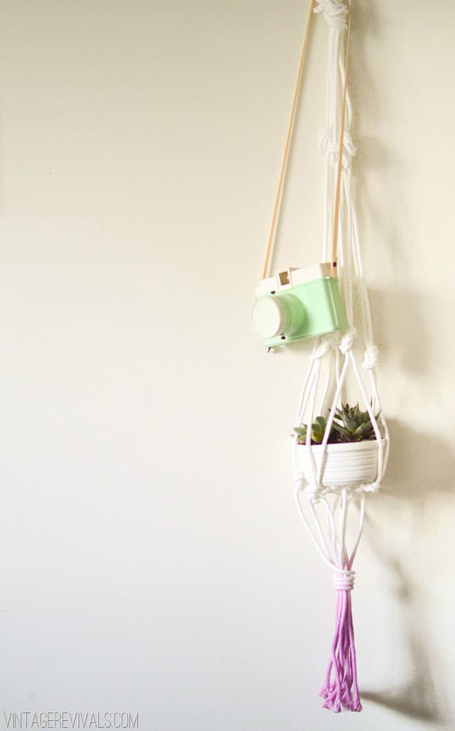 Orchid Dyed Macramé Planter