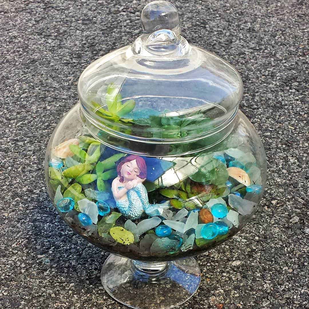 Succulent Mermaid Terrarium