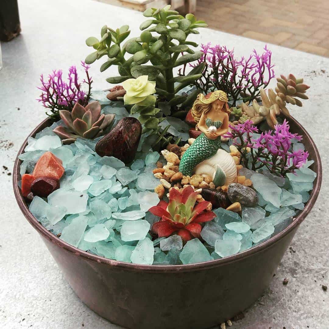 Succulent Mermaid Garden