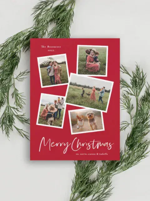 Best Photo Christmas Cards to spread joy this Holiday Season