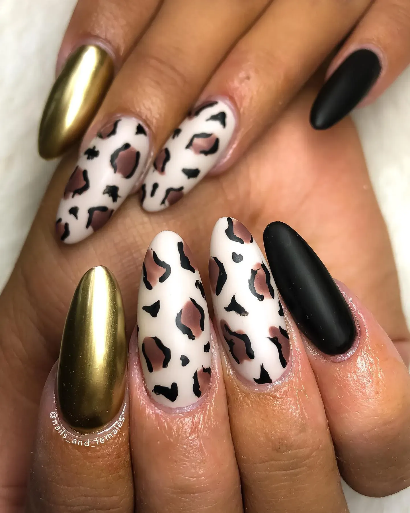 If you love a bold contrast, these matte cheetah nails with gold chrome accents are perfection. The mix of shiny and matte finishes makes them chic, modern, and fierce.