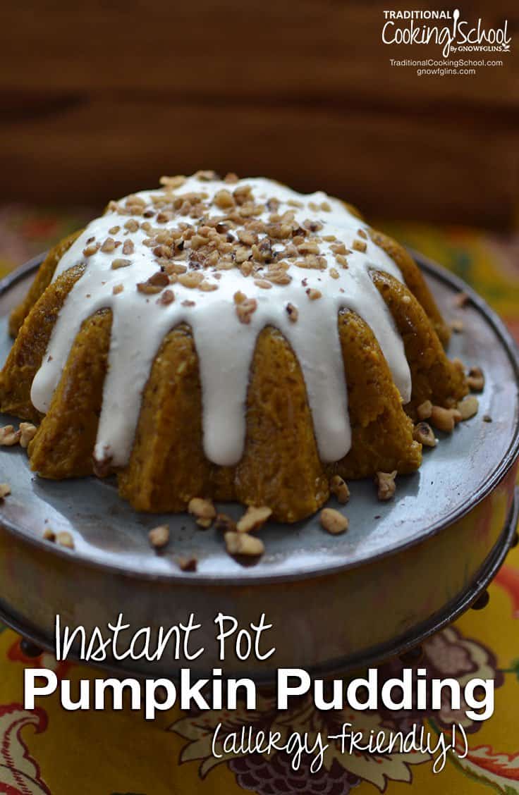 Instant Pot Pumpkin Pudding