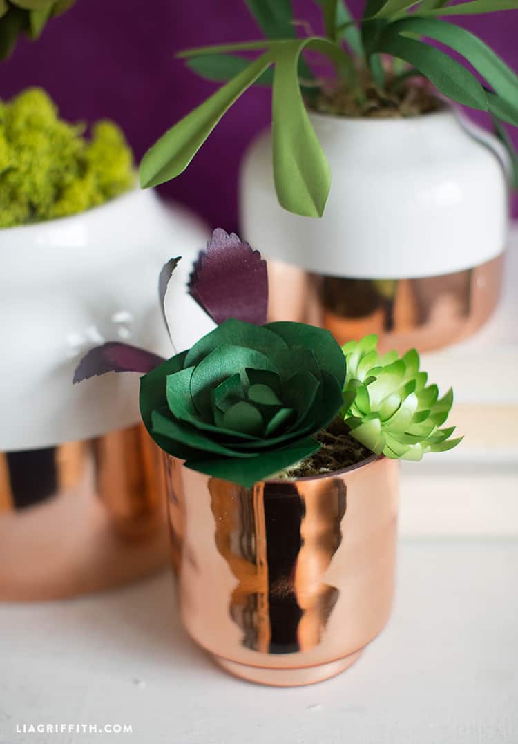 Metallic Paper Succulents