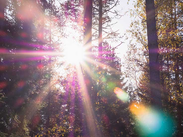 The amount of sunlight you get affects how you sleep and the amount of sleep you get affects your mind and body, including your ability to cope with stress. 