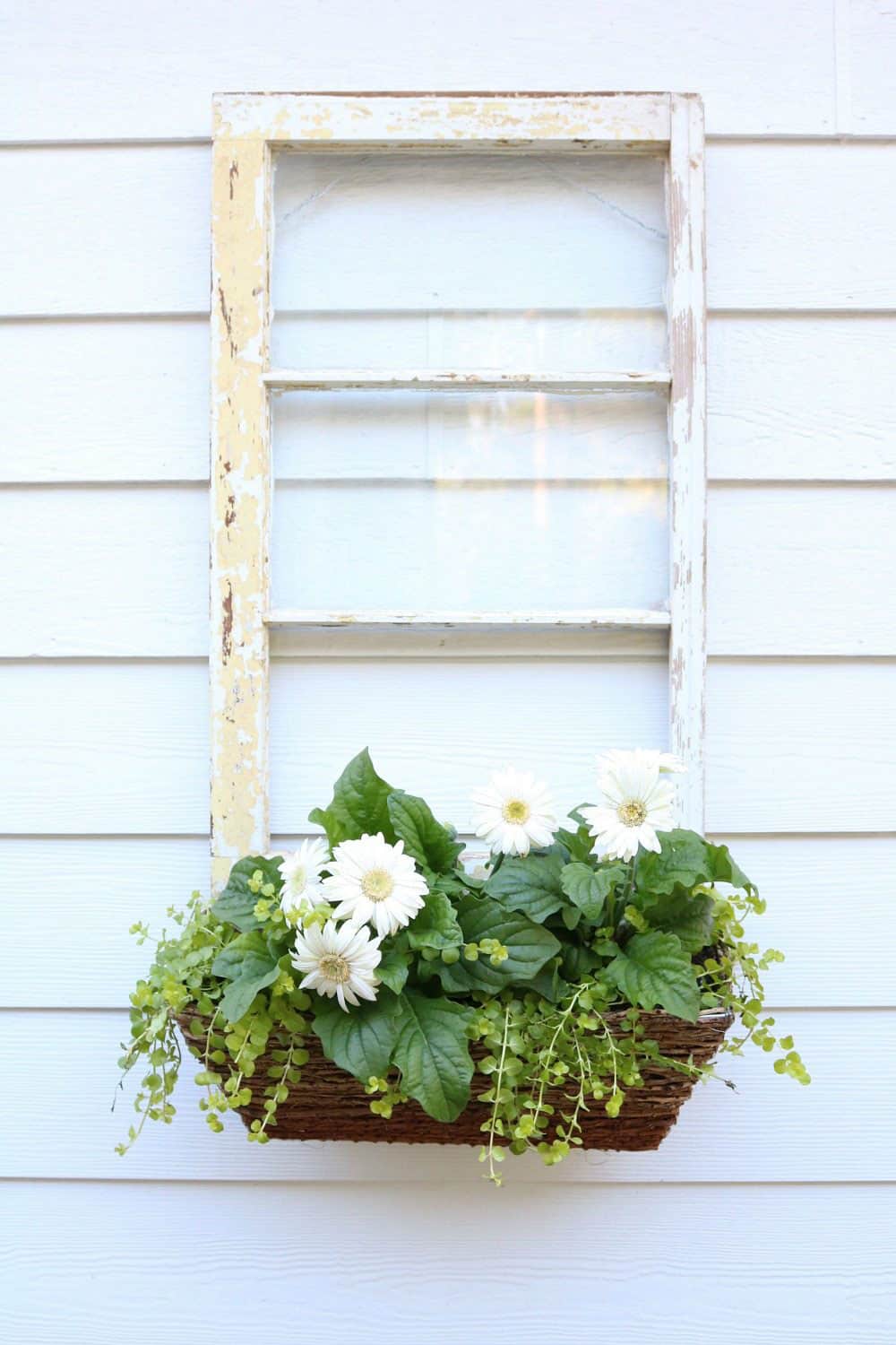 Repurposed Window – Window Box