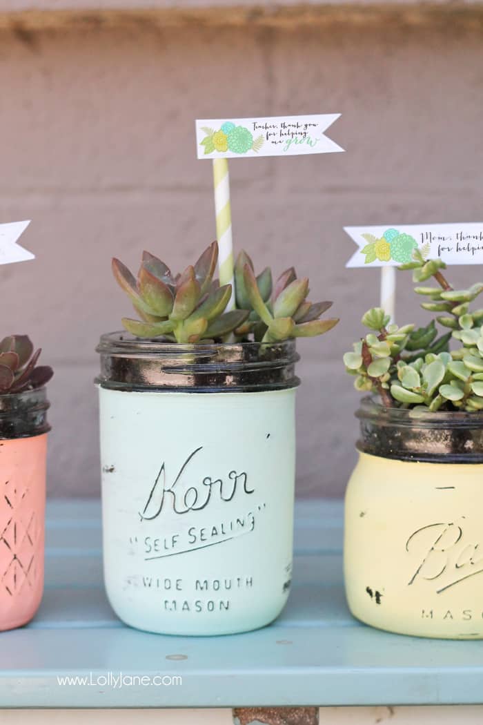 Turn your Mason jars into succulent planters