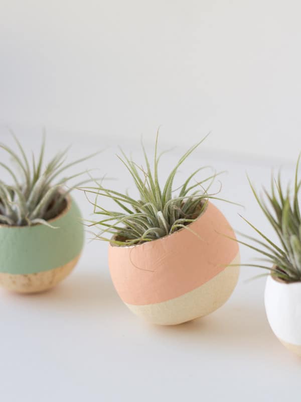 Turn a bell cup into a planter