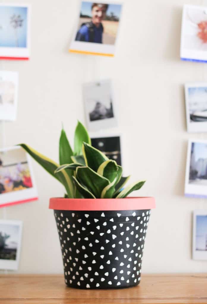 Make a DIY painted planter