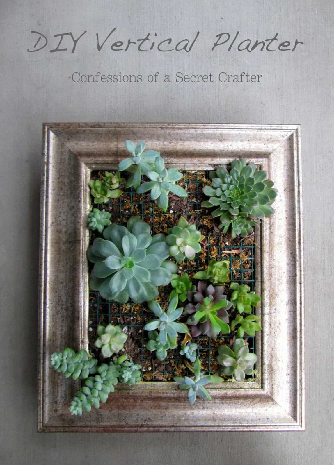 Repurpose a picture frame into a DIY vertical planter