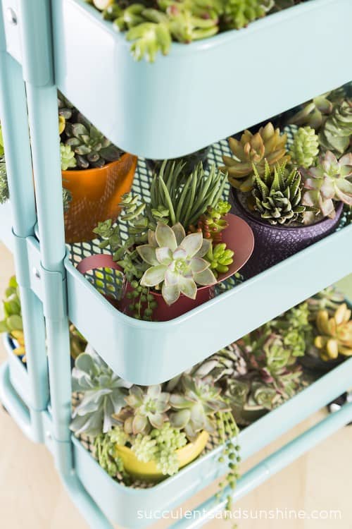 Turn an IKEA RASKOG cart into a succulent planter