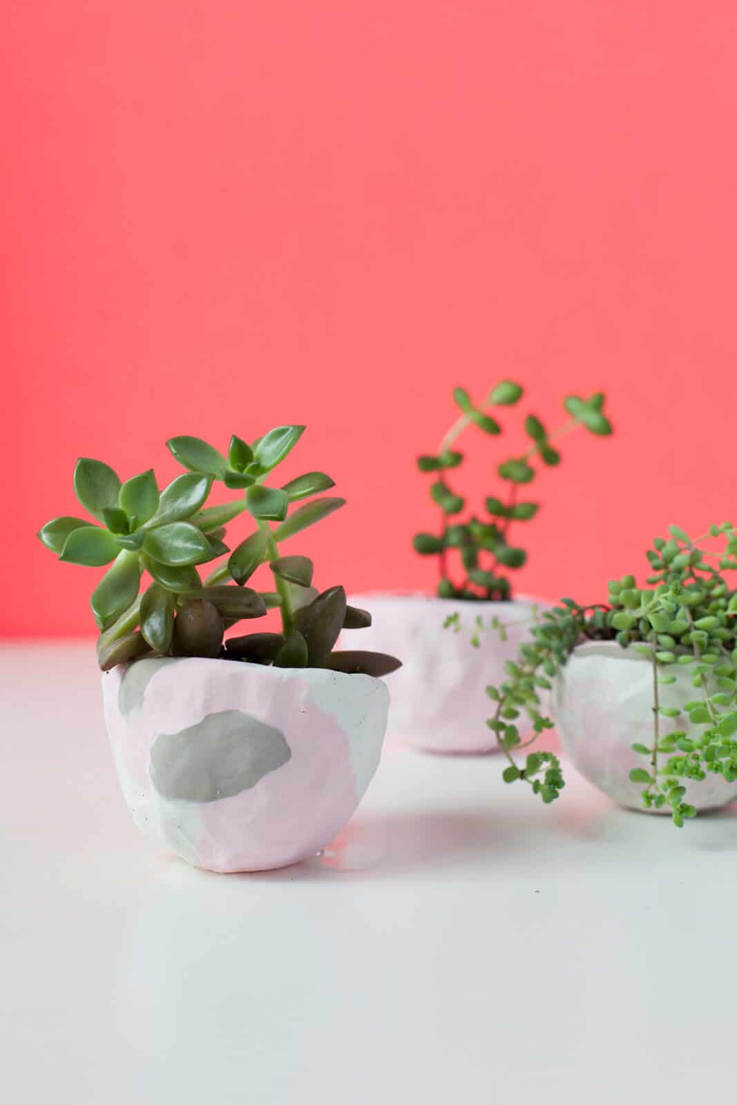 Make your own marbled clay succulent pots