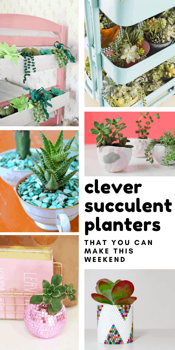 How fabulous are these succulent planters that you can make at home this weekend! #diyproject