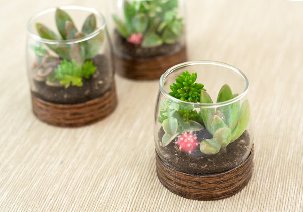 Unique Terrarium Ideas | Succulents | DIY | Glass Planters | Unique Wedding Favors