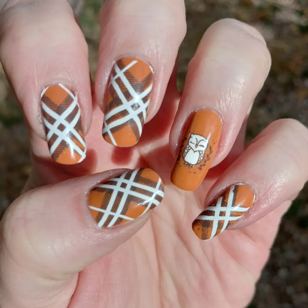 2. @tiffysnailartPlaid patterns and an adorable little owl make this manicure a total cozy-season winner. The burnt orange base and crisp white lines give cute November nails a rustic, fall-inspired edge that’s perfect for Thanksgiving.