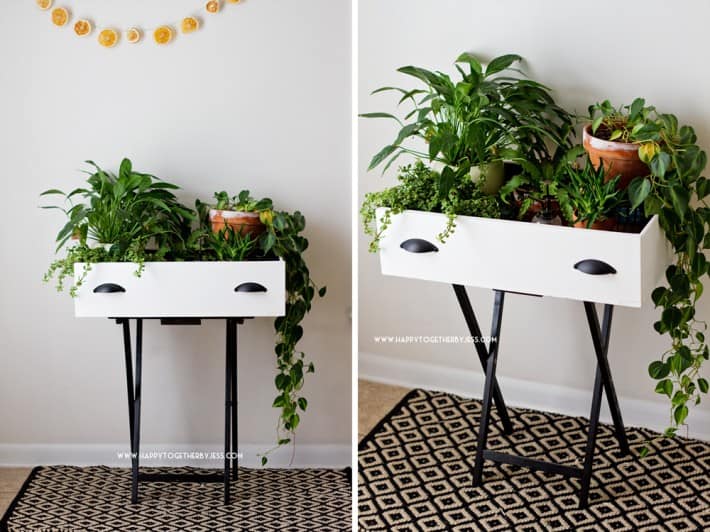 Turn your old drawer into a planter