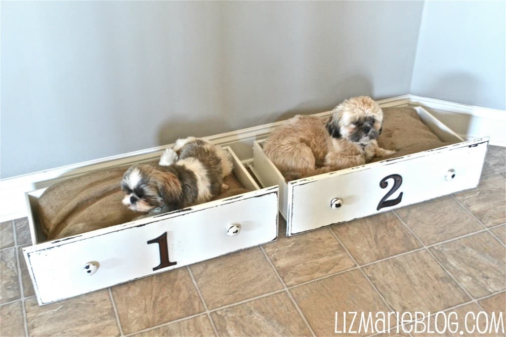 Turn a pair of old drawers into matching dog beds